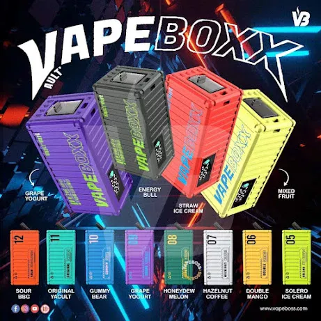 VAPEBOXX 12000